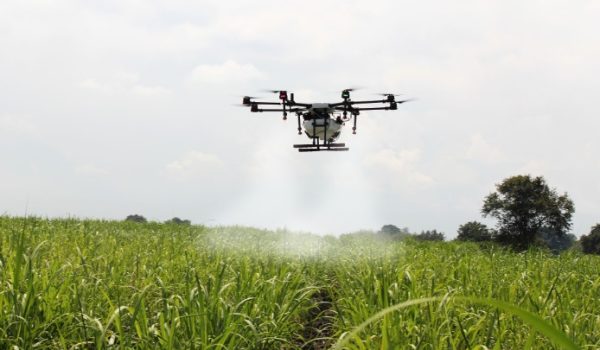 Foto der landwirtschaftlichen Lösung 1