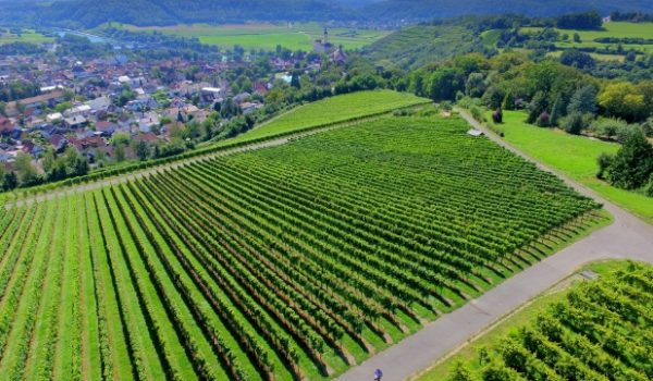 Foto der landwirtschaftlichen Lösung 2