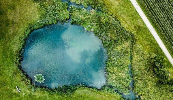 Solución de Medio Ambiente y Energía